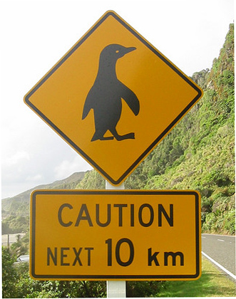 Be on the lookout for penguins