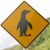 Penguin warning