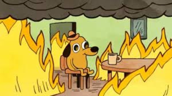 This is fine - surviving 2020